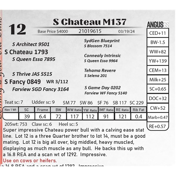 S Chateau M137