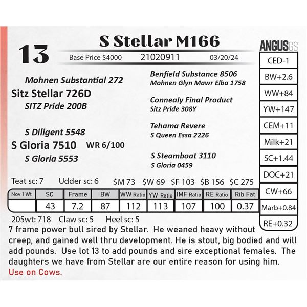 S Stellar M166