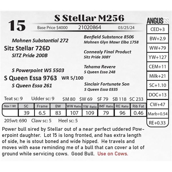 S Stellar M256
