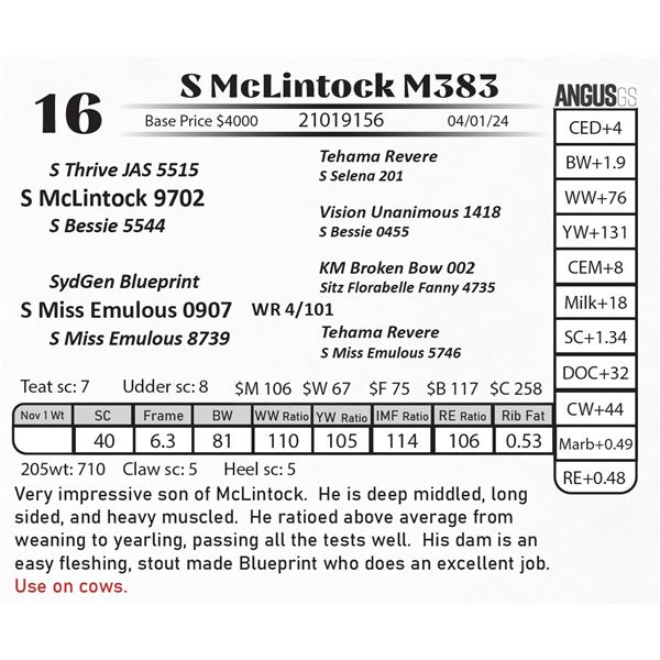 S Mckintock M383