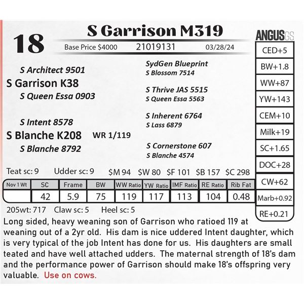 S Garrison M319