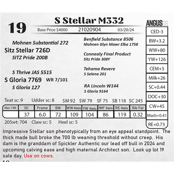 S Stellar M332