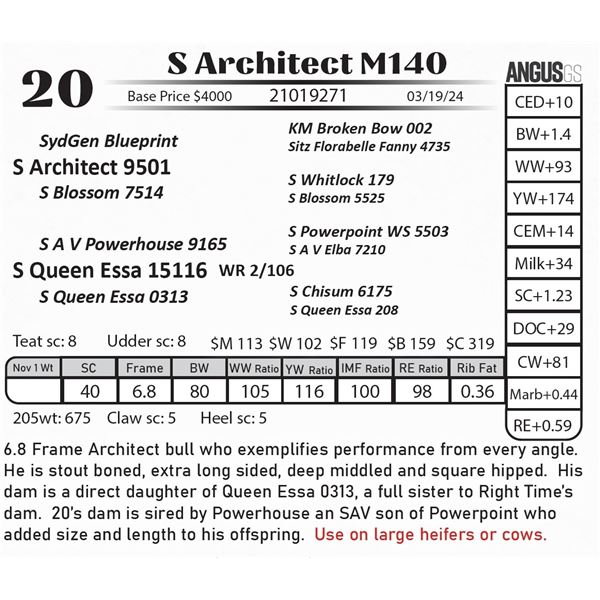 S Architect M140