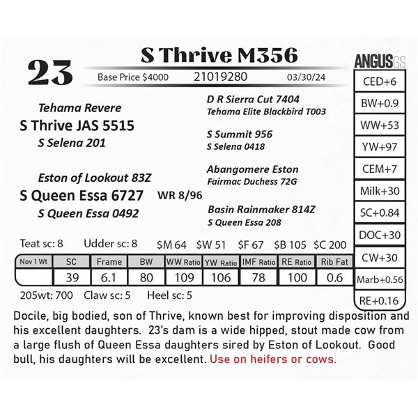S Thrive M356