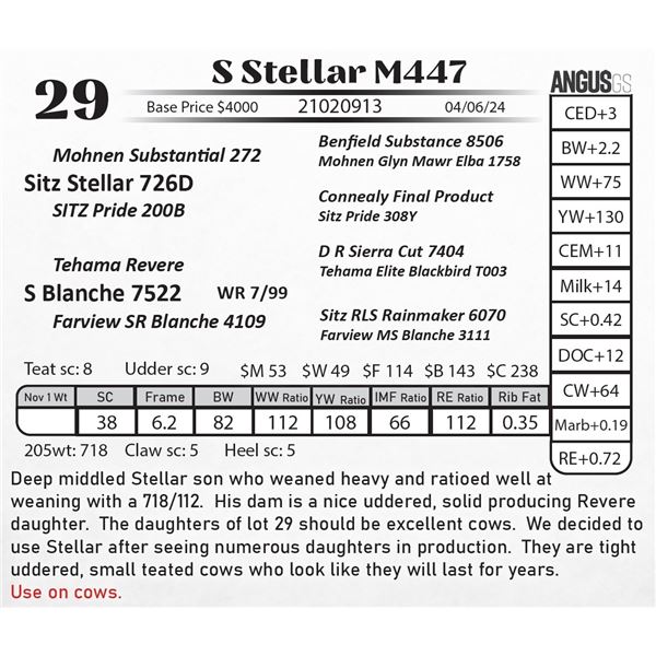 S Stellar M447