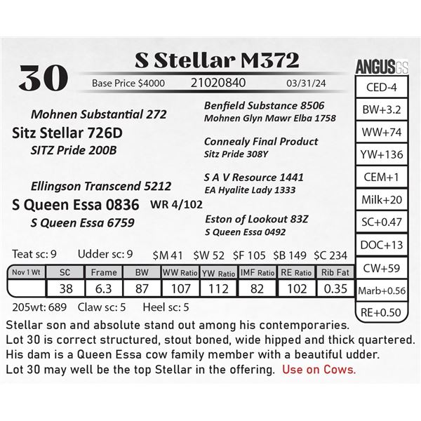 S Stellar M372
