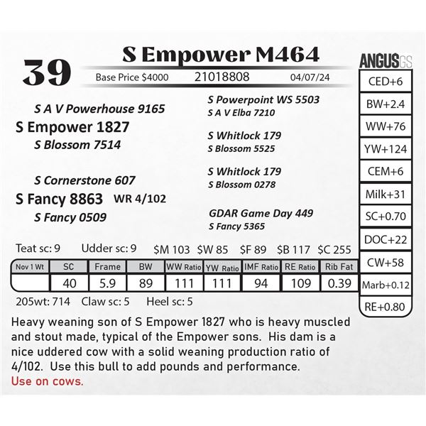 S Empower M464
