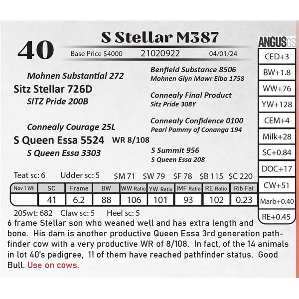 S Stellar M387