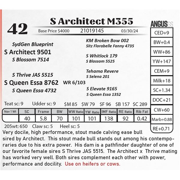 S Architect M355