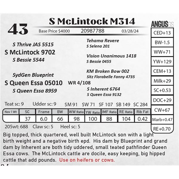 S McLintock M314