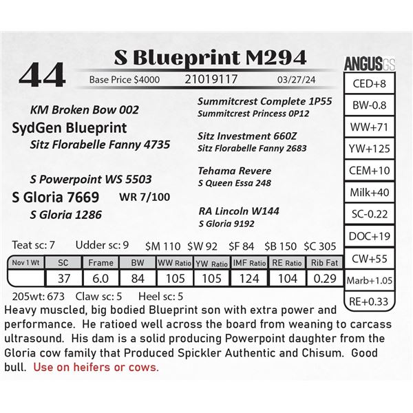 S Blueprint M294