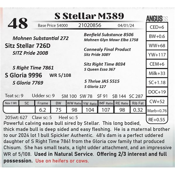 S Stellar M389