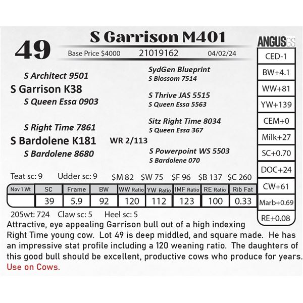 S Garrison M401