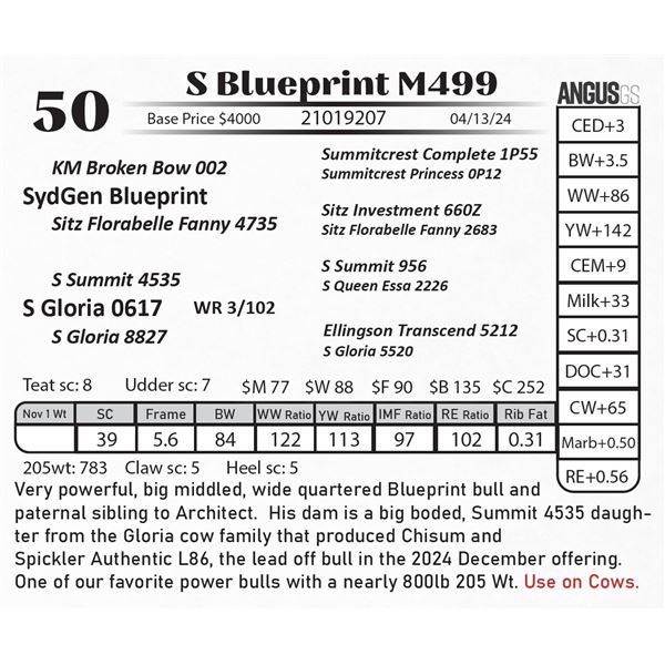 S Blueprint M499