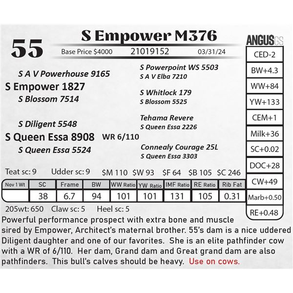S Empower M376