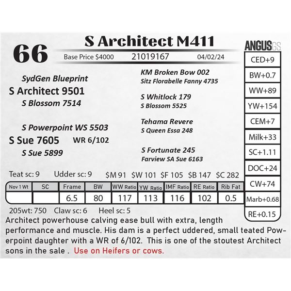S Architect M411