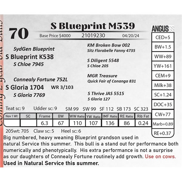 S Blueprint M539