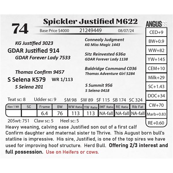 Spickler Justified M622