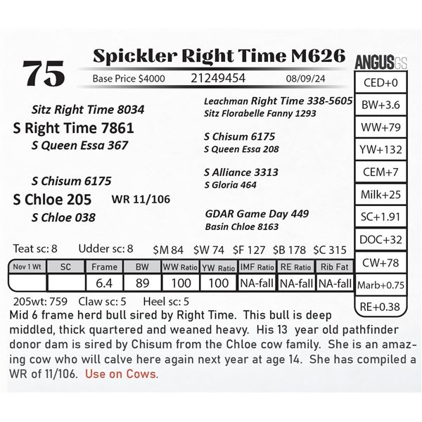 Spickler Right Time M626