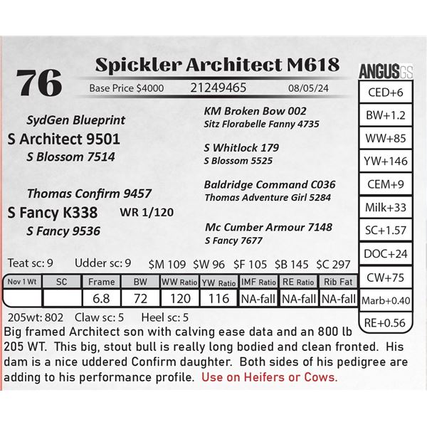 Spickler Architect M618
