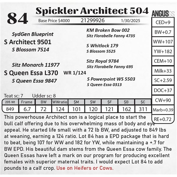 Spickler Architect 504