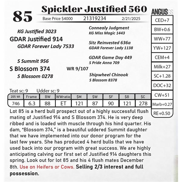 Spickler Justified 560