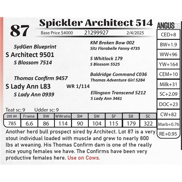 Spickler Architect 514