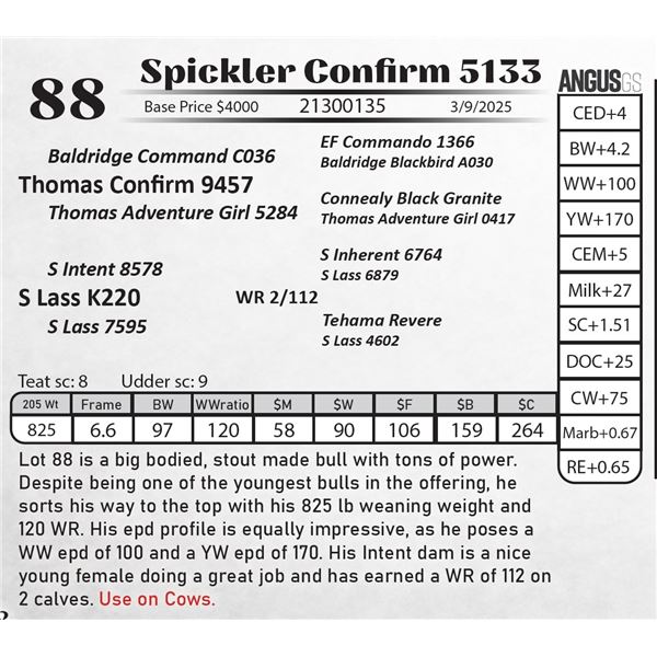 Spickler Confirm 5133
