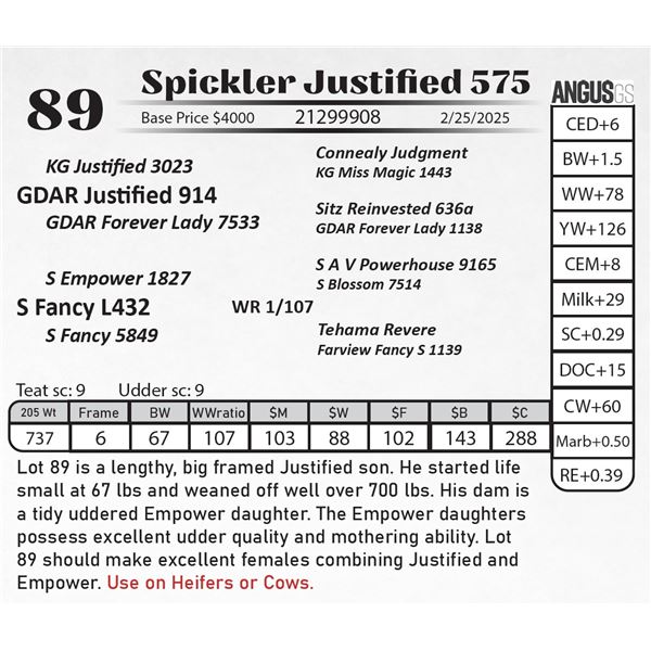 Spickler Justified 575