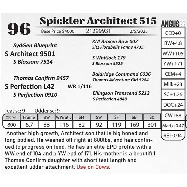 Spickler Architect 515