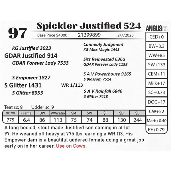 Spickler Justified 524