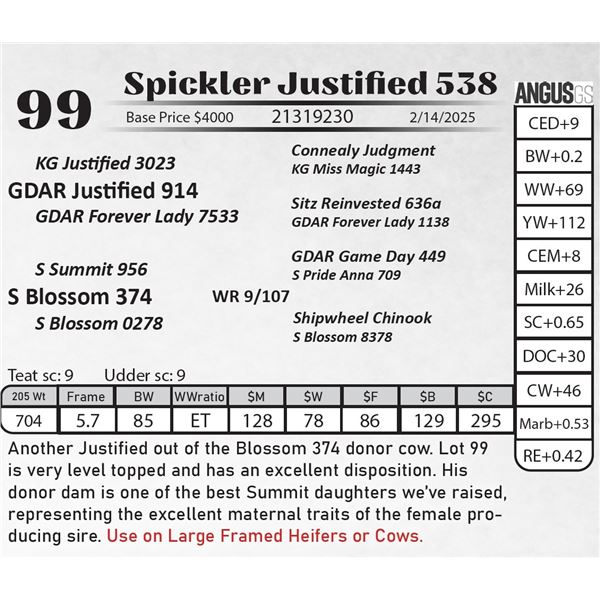Spickler Justified 538