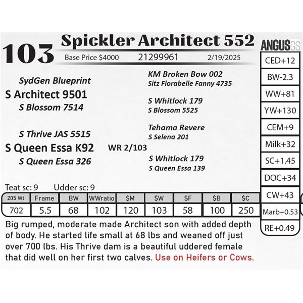 Spickler Architect 552