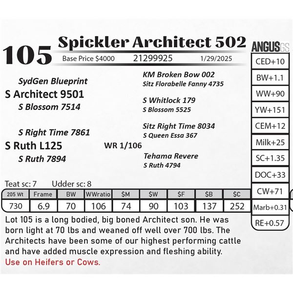 Spickler Architect 502