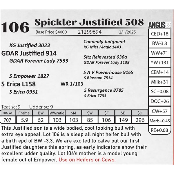 Spickler Justified 508