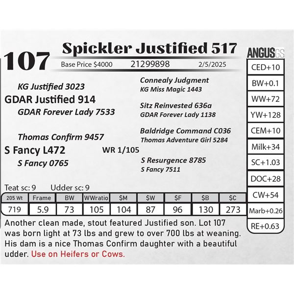 Spickler Justified 517