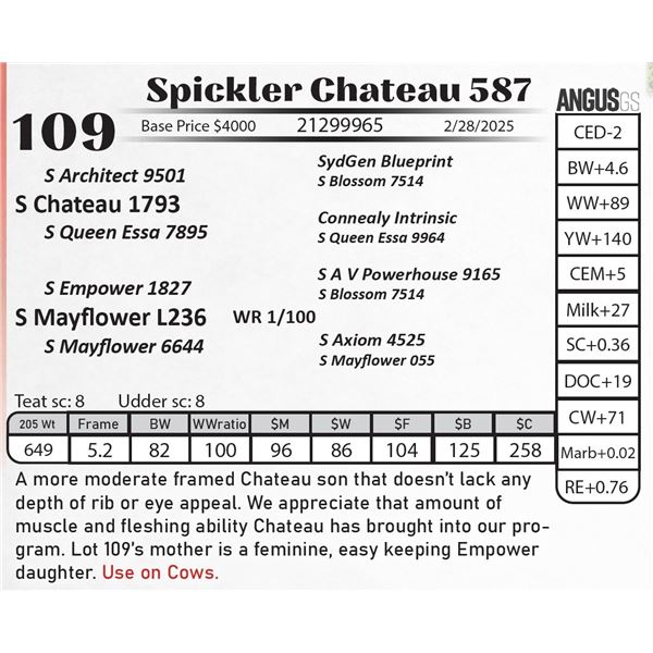 Spickler Chateau 587