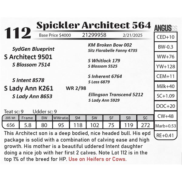 Spickler Architect 564
