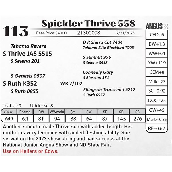 Spickler Thrive 558
