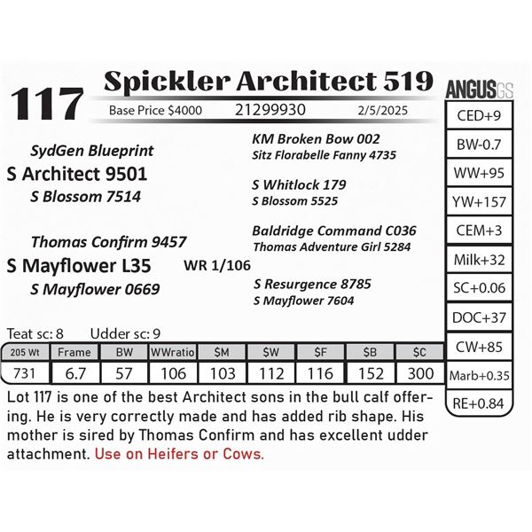 Spickler Architect 519