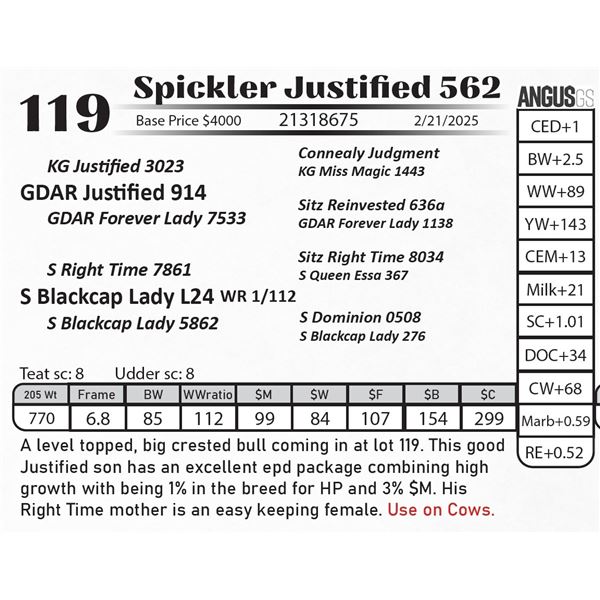 Spickler Justified 562