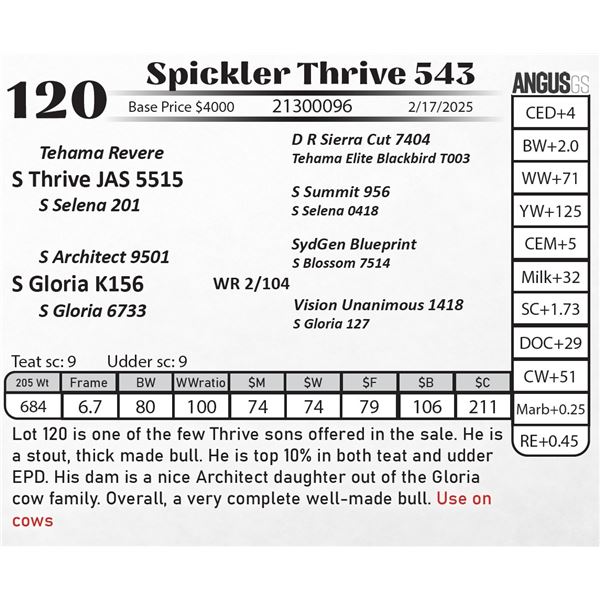 Spickler Thrive 543