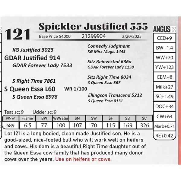 Spickler Justified 555