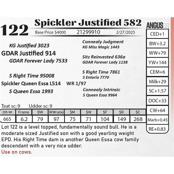 Spickler Justified 582