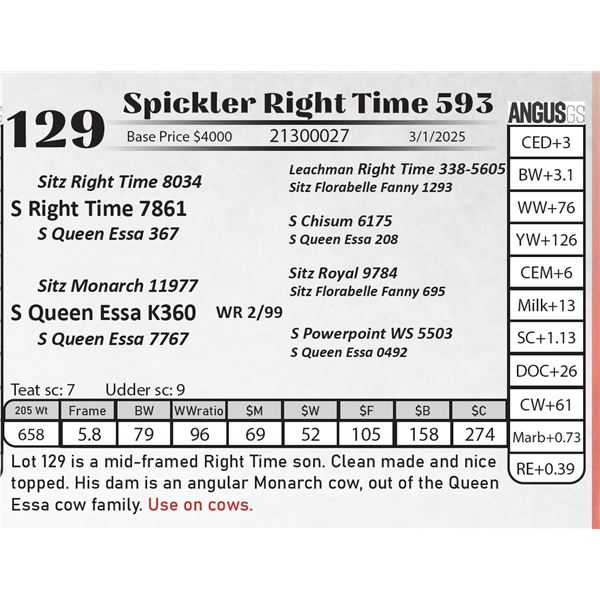 Spickler Right Time 593