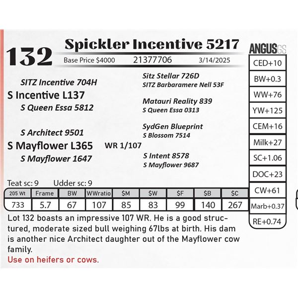 Spickler Incentive 5217