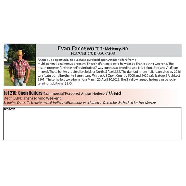 11 hd Bred Heifers - Evan Farnsworth