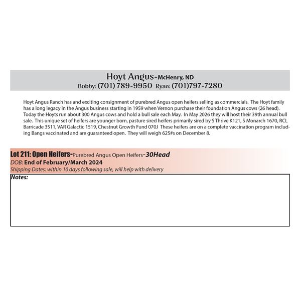 30 hd Bred Heifers - Hoyt Angus