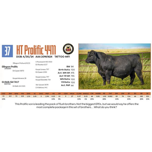 HT Prolific 4411