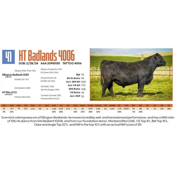 HT Badlands 4006